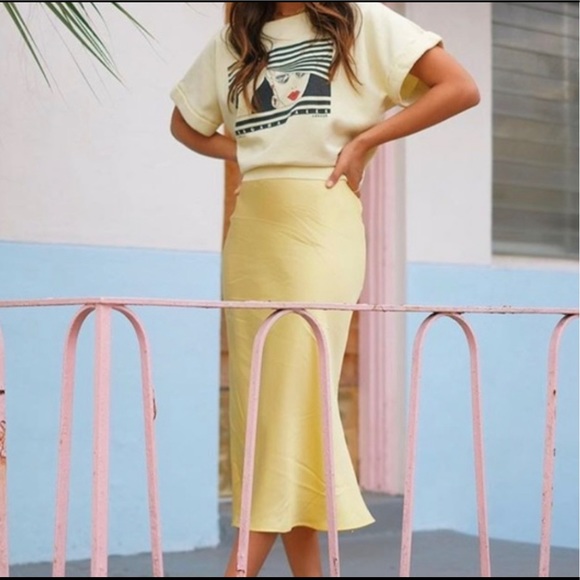 Anine Bing Dresses & Skirts - Anine Bing Bar Silk Skirt